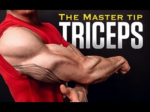 The Triceps Workout “Master Tip” (EVERY EXERCISE!) - UCe0TLA0EsQbE-MjuHXevj2A