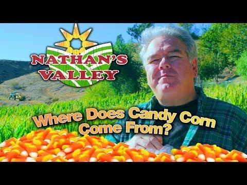 Where Does CANDY CORN Come From? - Nathan's Valley (f. Jim O'Heir) - UCTAgbu2l6_rBKdbTvEodEDw