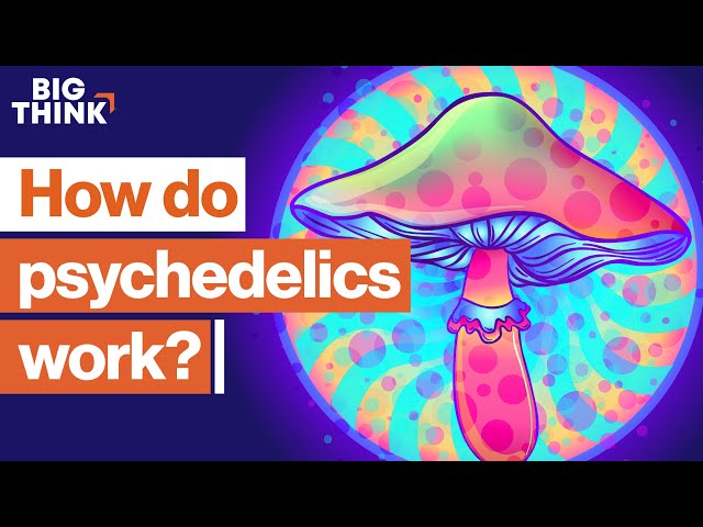 Psychedelic Rock: More Than Just Mind-Altering Drugs