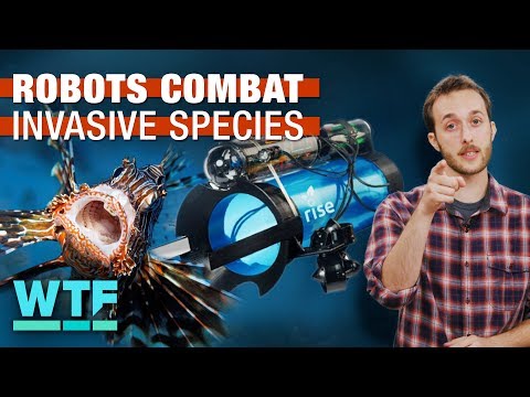 Robots are fighting invasive species | What The Future - UCOmcA3f_RrH6b9NmcNa4tdg