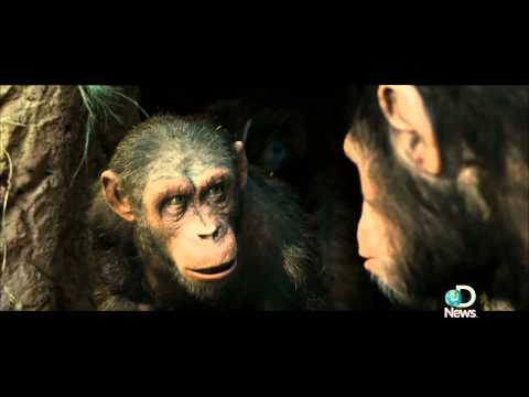 Rise of the Planet of the Apes' Serkis Becomes an Ape - UCqOoboPm3uhY_YXhvhmL-WA