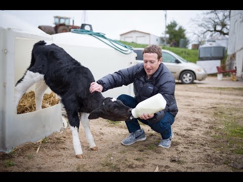 Life of 33-year-old Mark Zuckerberg — the fifth richest person on earth - UCcyq283he07B7_KUX07mmtA