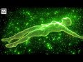 432Hz - Super Recovery & Healing Frequency  Restore Whole Body & Bring Positive Transformation #2