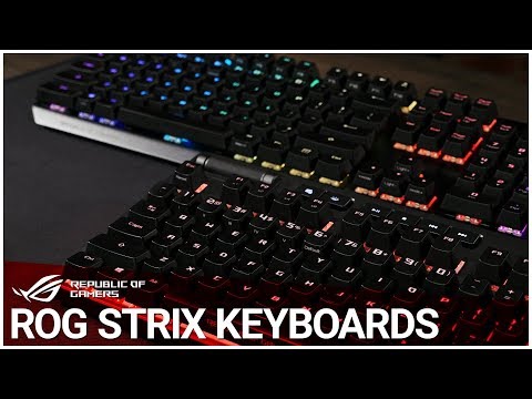 Meet the ROG Strix Keyboard Family - UChSWQIeSsJkacsJyYjPNTFw