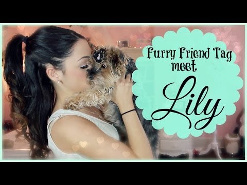 Furry Friend Tag: Meet Lily ! - UCuVHOs0H5hvAHGr8O4yIBNQ