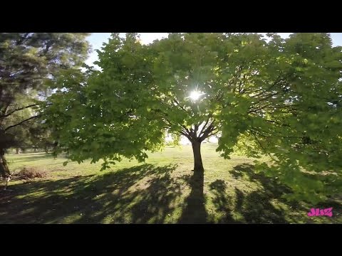 FPV - luminous - UC_ln1TA-w4bahRI7yN0TcJA