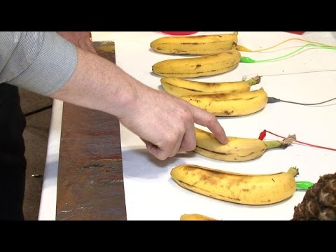 The weird and strange toys of Toy Fair 2015 - UCOmcA3f_RrH6b9NmcNa4tdg