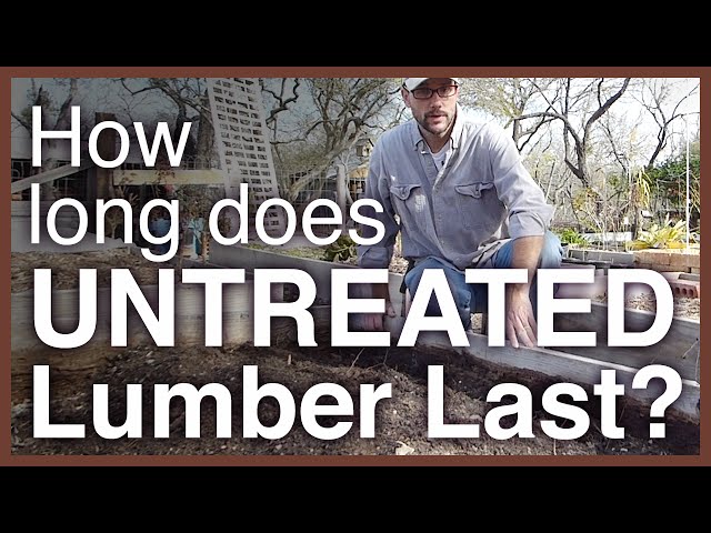 How Long Can You Leave Wood Untreated 