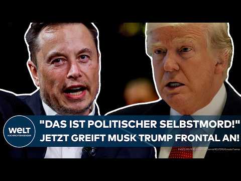 USA: "Das ist politischer Selbstmord!" Jetzt greift Elon Musk US-Präsident Donald Trump frontal an!