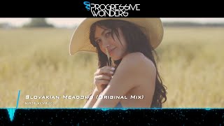 Miroslav Vrlik - Slovakian Meadows (Original Mix) [Music Video] [Emergent Shores]