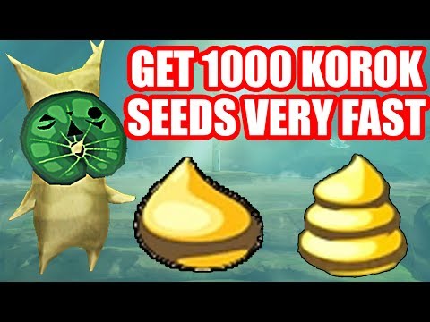 How To Get 1000 KOROK SEEDS In  LESS Then Two Hours! (Zelda Breath of the Wild DLC Glitch) - UCwtnZUOk44DCCFFT6QG6LdA