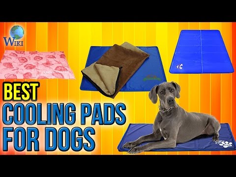 10 Best Cooling Pads For Dogs 2017 - UCXAHpX2xDhmjqtA-ANgsGmw