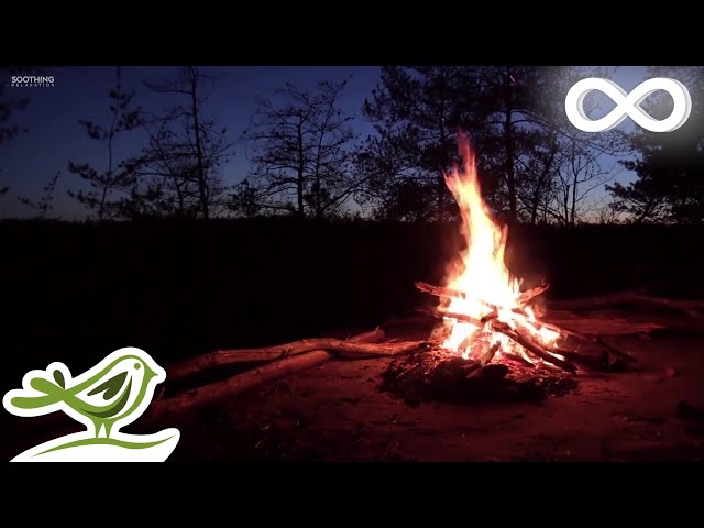 The Best Campfire Instrumental Music to Relax to