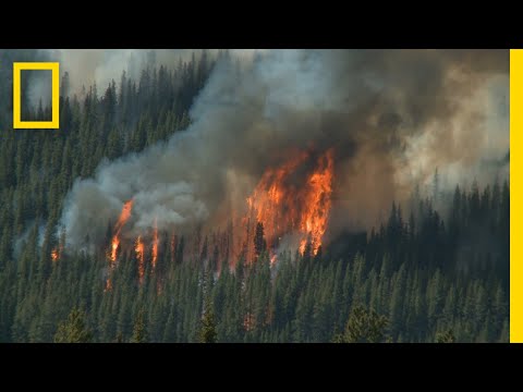 Wildfires 101 | National Geographic - UCpVm7bg6pXKo1Pr6k5kxG9A