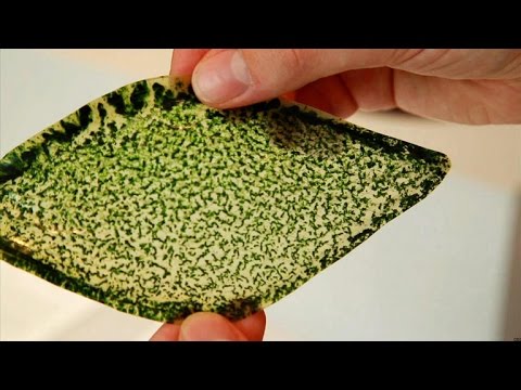Crave - Man-made photosynthesizing leaf could breathe air into buildings, spaceships, Ep. 168 - UCOmcA3f_RrH6b9NmcNa4tdg