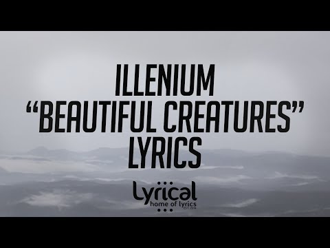 Illenium - Beautiful Creatures (ft. MAX) Lyrics - UCnQ9vhG-1cBieeqnyuZO-eQ