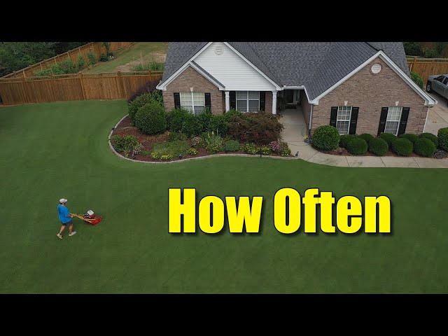 how-often-should-you-cut-your-grass-in-clawson-mi