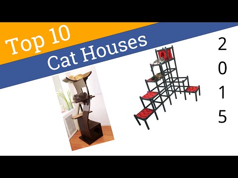 10 Best Cat Houses 2015 - UCXAHpX2xDhmjqtA-ANgsGmw