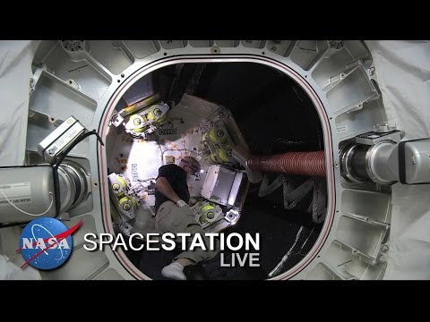 Space Station Live : Astronaut Jeff Williams Enters BEAM Expandable Module - UCmheCYT4HlbFi943lpH009Q