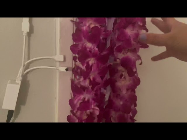 How To Preserve Your Leis