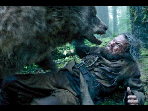 What you should do if a bear attacks you - UCcyq283he07B7_KUX07mmtA