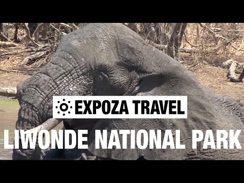 Liwonde National Park (Malawi) Vacation Travel Video Guide - UC3o_gaqvLoPSRVMc2GmkDrg