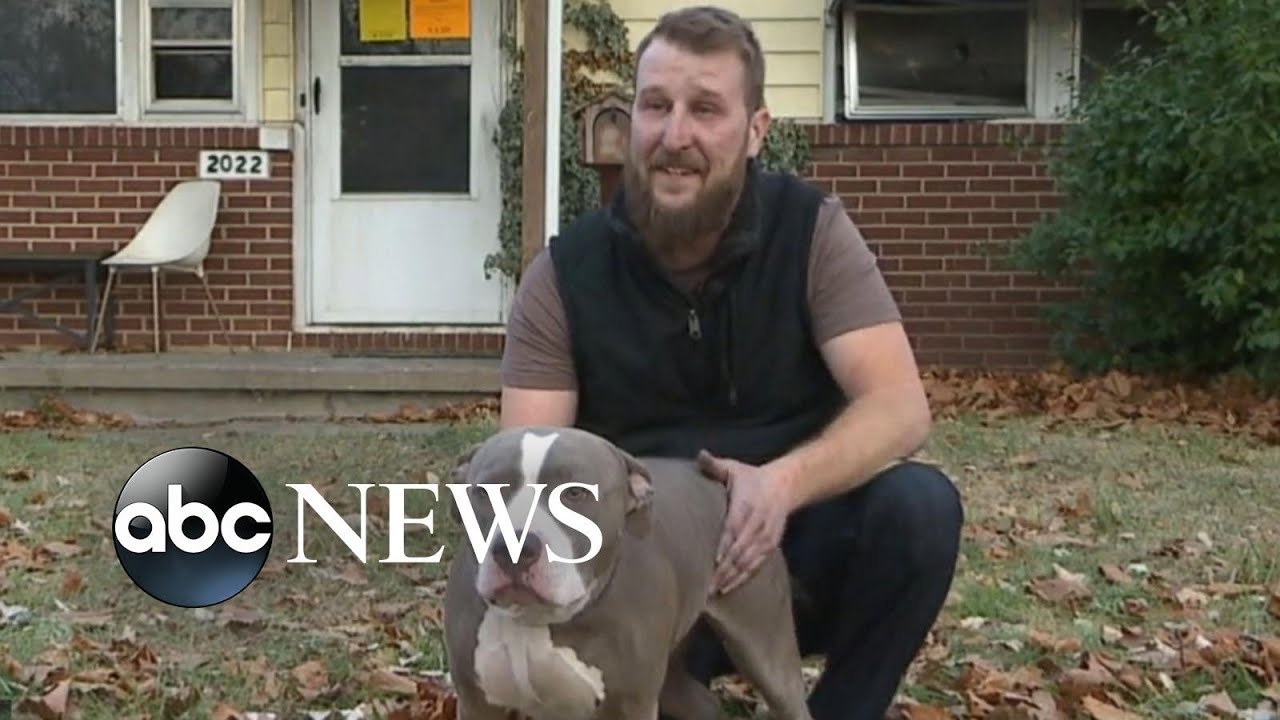 Hero dog saves owner