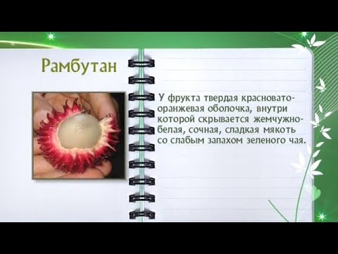 Кулинарная энциклопедия - Рамбутан - UC7XBjhXnmmXFsxmnys9PmDQ