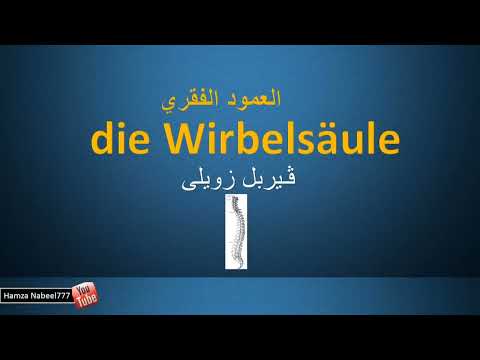 اجزاء و اعضاء الجسم - الجزء الثاني 2 - تعلم اللغة الالمانية مع اللفظ der Körper