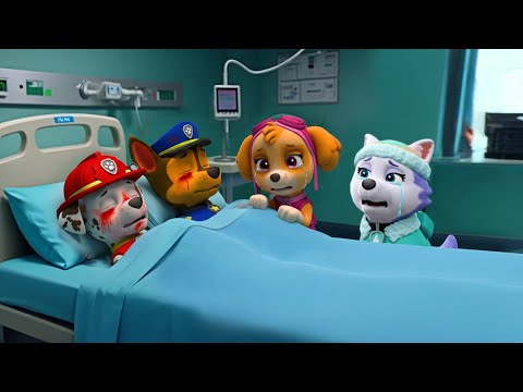 Please help Skye and Everest !!! Chase & Marshall Serious Injury | Paw Patrol Ultimate Rescue
