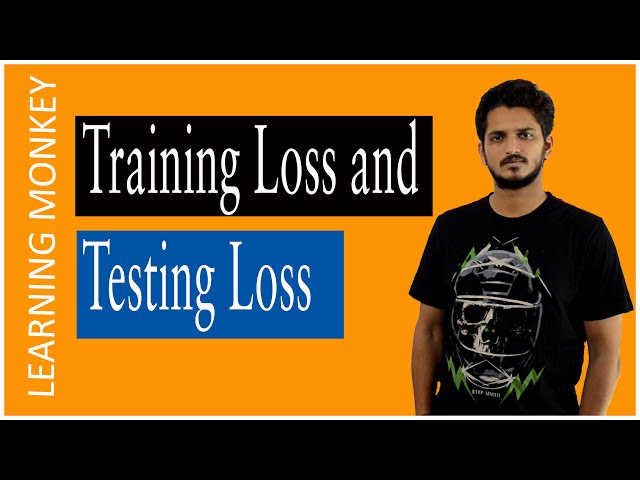 What is Test Loss in Machine Learning?