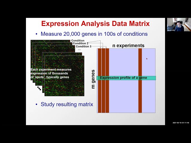 Deep Learning Decodes the Principles of Differential Gene Expression