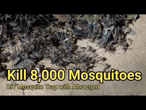 Mosquito trap DIY 8,000 mosquito kill reduce ZIKA DENGUE MALARIA MaxxAir Fan CO2 - UCQ9e0JHba7ApNz_-HL-p_6A