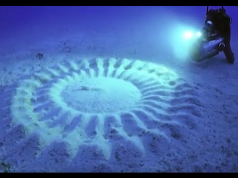 8 Most Mind-Blowing Things That Can Be Found Underwater - UCxo8ooAqXiObjuaIy10ud0A