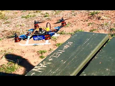 Kangaroos and Quadcopters. Tarot 250 Test Flights at 45 and 80 stick scaling - UCIJy-7eGNUaUZkByZF9w0ww