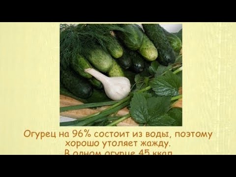 Кулинарная энциклопедия - Огурец - UC7XBjhXnmmXFsxmnys9PmDQ