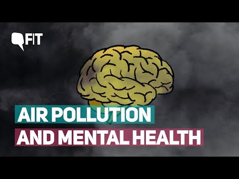 Video - Health - What Is Air Pollution Doing to Our Brains? #Environment