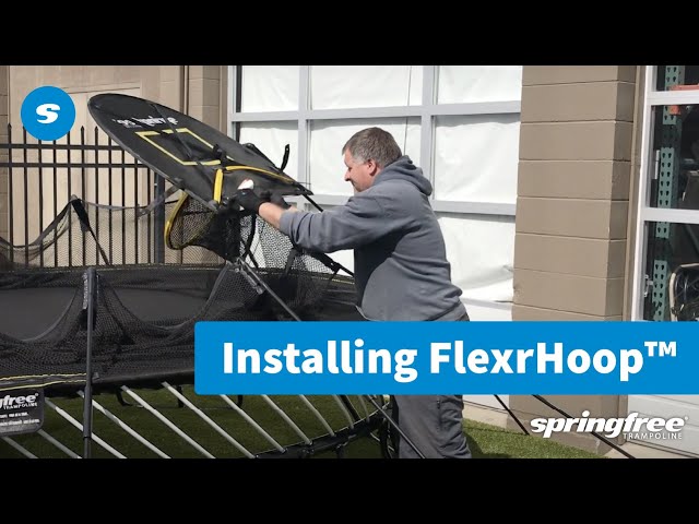 The Best Way to Get a Workout in with the Springfree Basketball Hoop