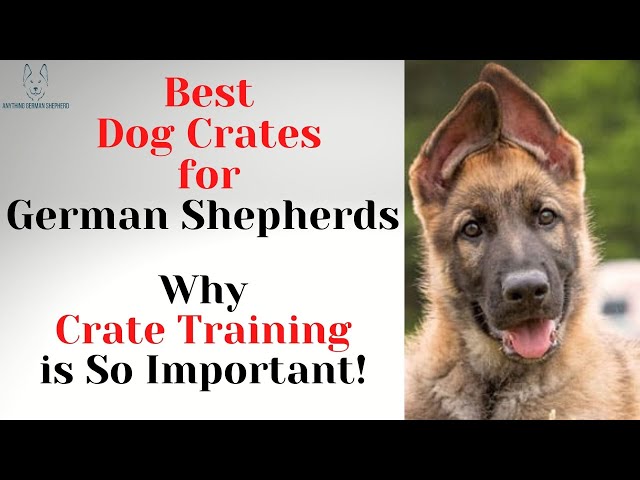 What Size Crate Do You Need for a German Shepherd? - StuffSure