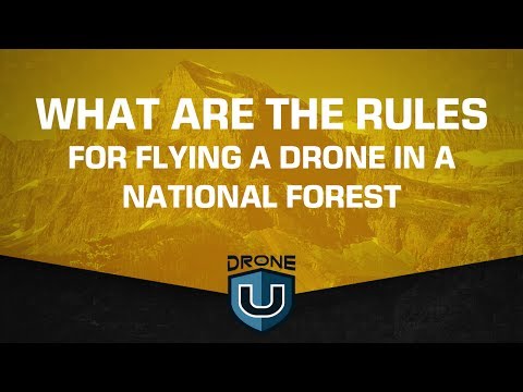 What are the rules for flying a drone in a National Forest? - UCgJ5K7wWoFlnYC3e8eIxYrA