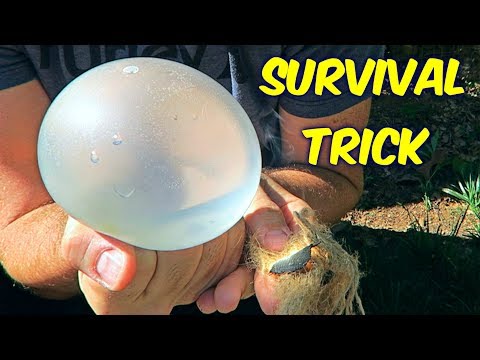 Balloon Trick That Can Save Your Life - UCe_vXdMrHHseZ_esYUskSBw