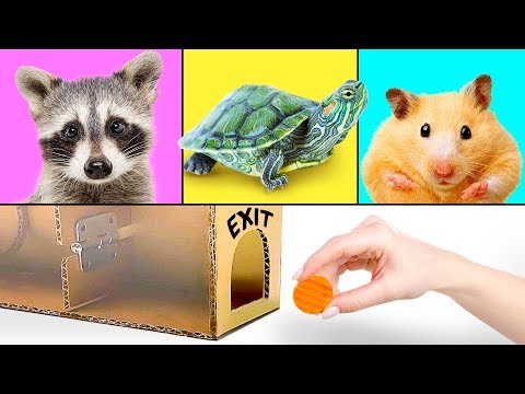 3 Hilarious Pets And 3 Smart Crafts for Kids - UCw5VDXH8up3pKUppIvcstNQ