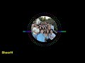 VFX 1