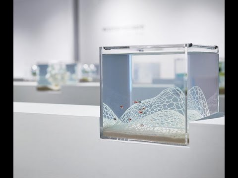 3D-printed aquariums are minimalist and beautiful (Tomorrow Daily 373) - UCOmcA3f_RrH6b9NmcNa4tdg