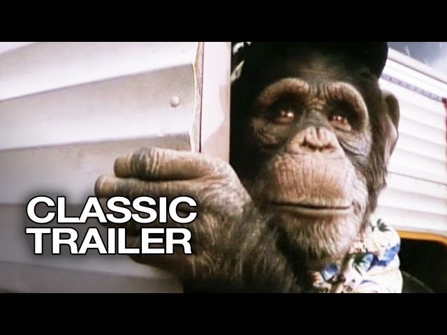 The Monkey Baseball Movie is a Must See