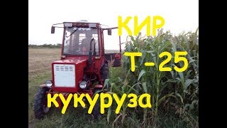 КИР - КУКУРУЗА - ТРАКТОР Т-25/KIR - CORN - TRACTOR T-25