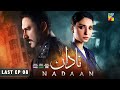 Nadaan - Last Ep 08 [CC] - 23 Nov 24 - Spons Happilac Paints, CanOlive & SIA BEAUTY CREAM - HUM TV