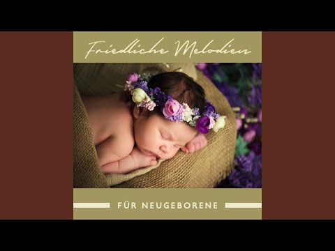 Mondlicht Wiegenlied für Neugeborene