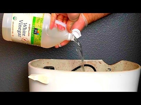 Put Vinegar into a Toilet, and Watch What Happens - UC4rlAVgAK0SGk-yTfe48Qpw