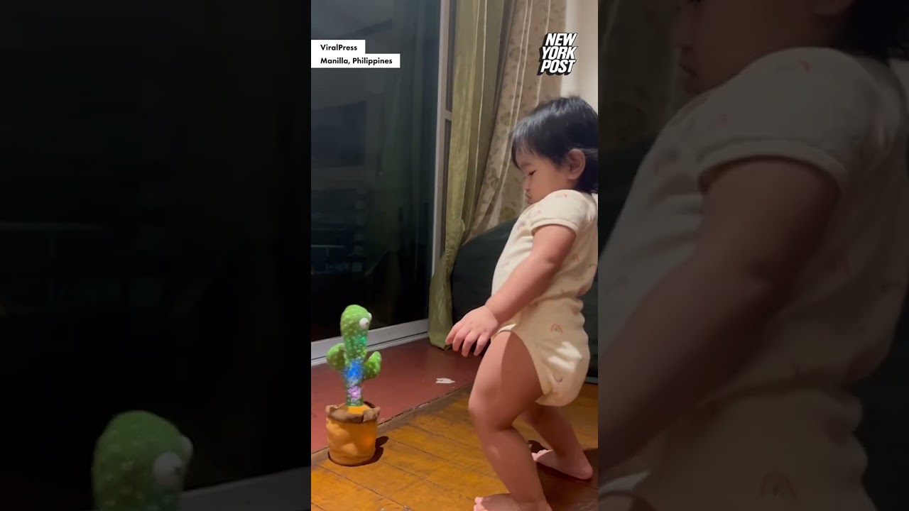 Toddler gets groovy with dancing cactus toy #shorts | New York Post
